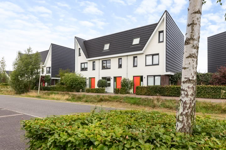 Foto 35 van Icarusblauwtje 98