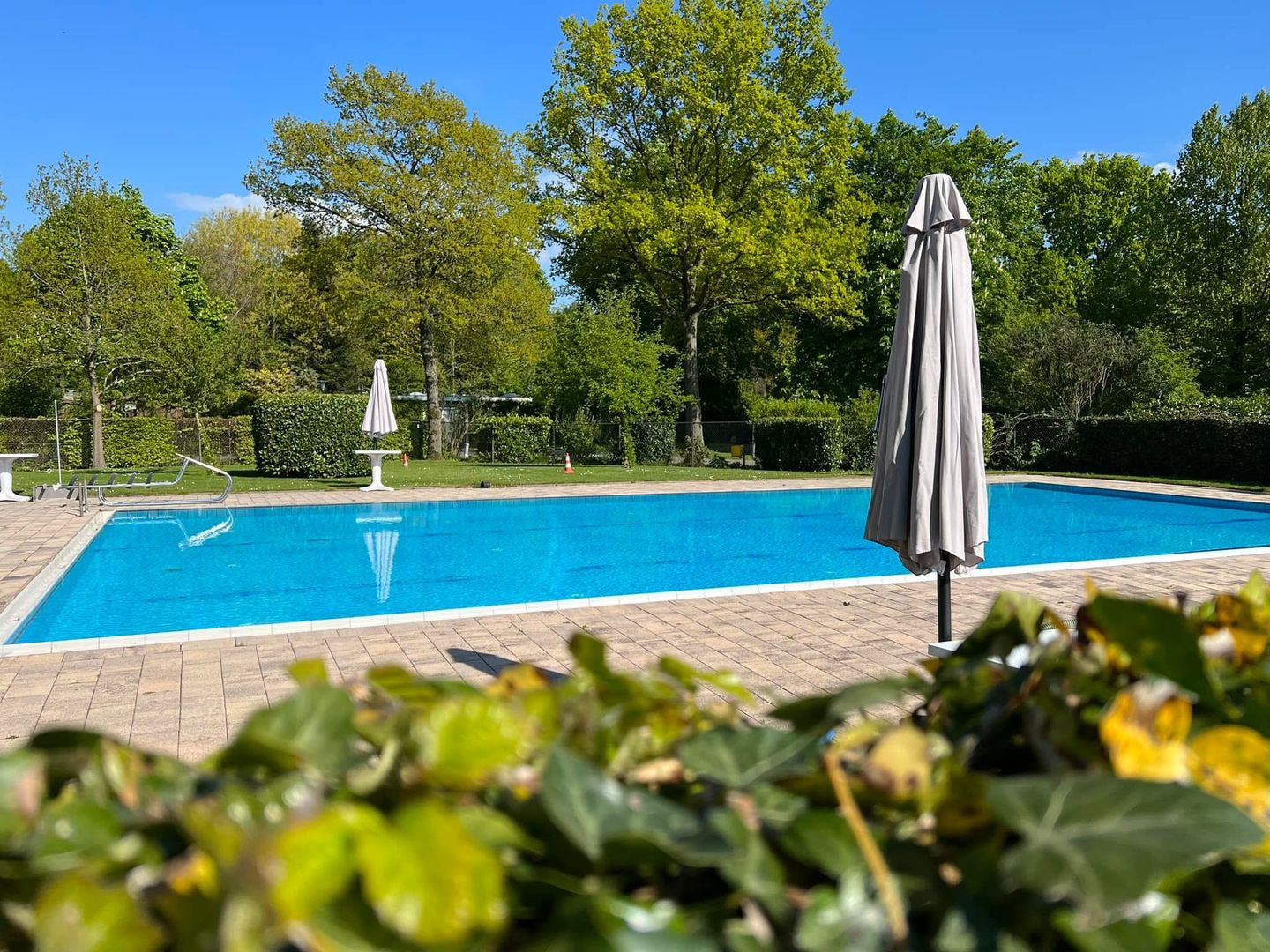 Foto 44 van Bijsselseweg 3-180