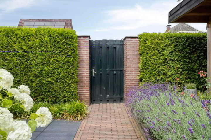 Foto 46 van Pelikaanstraat 9