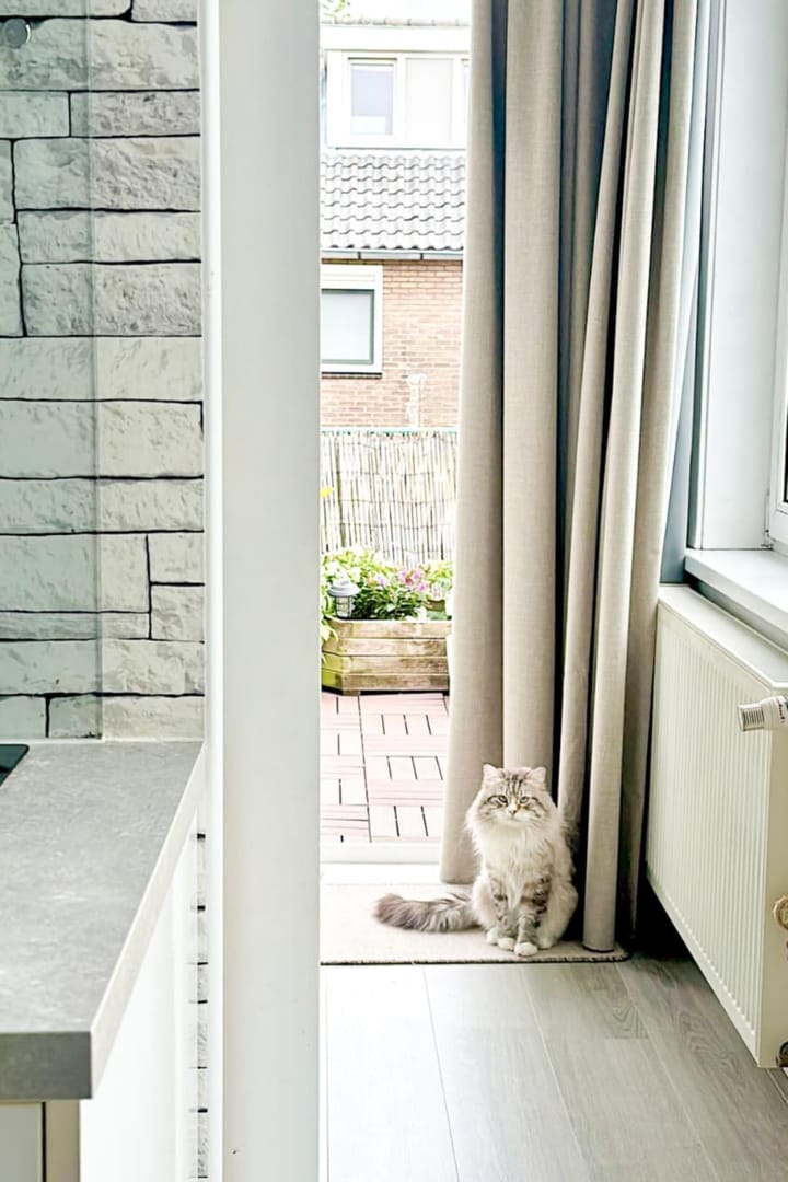 Foto 21 van Pieter Maritzstraat 14-RD