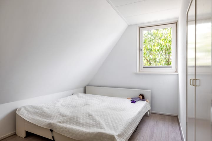 Foto 25 van Sânkop 1