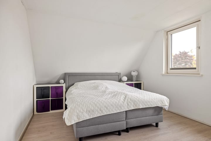 Foto 29 van Sânkop 1