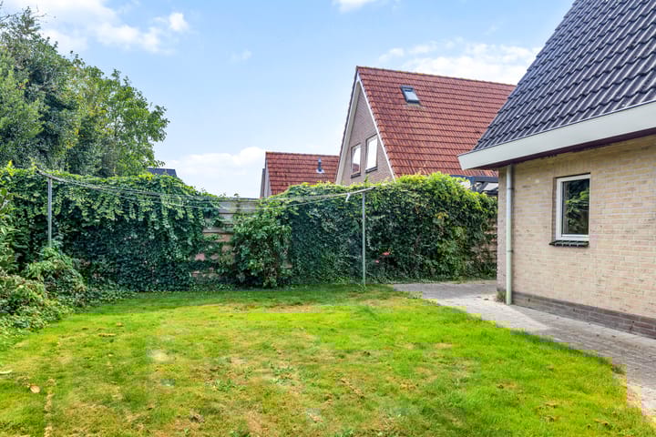 Foto 39 van Sânkop 1