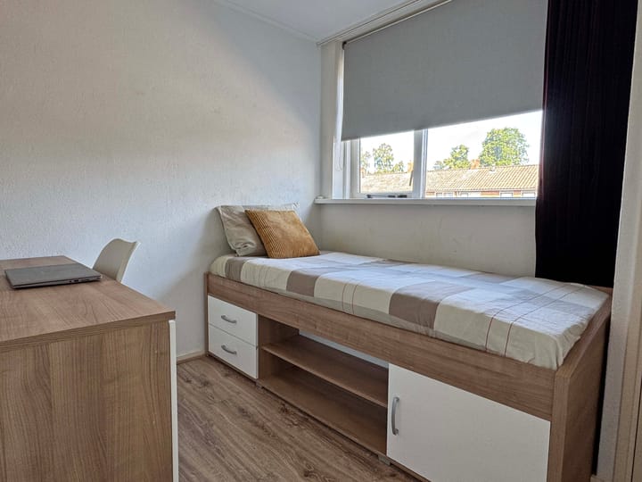 Foto 19 van van Limburg Stirumstraat 2