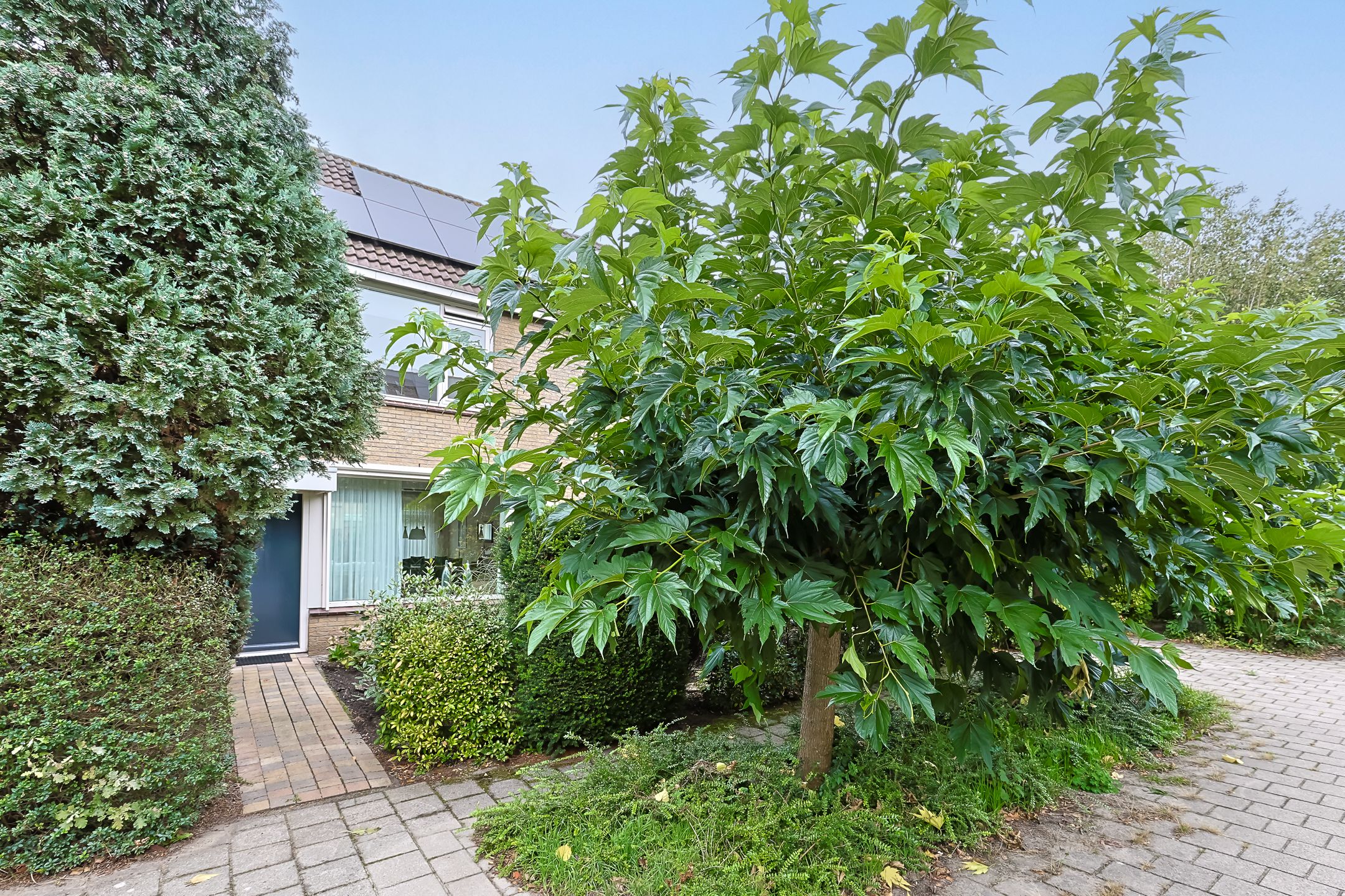 Foto 3 van Grevelingen 10