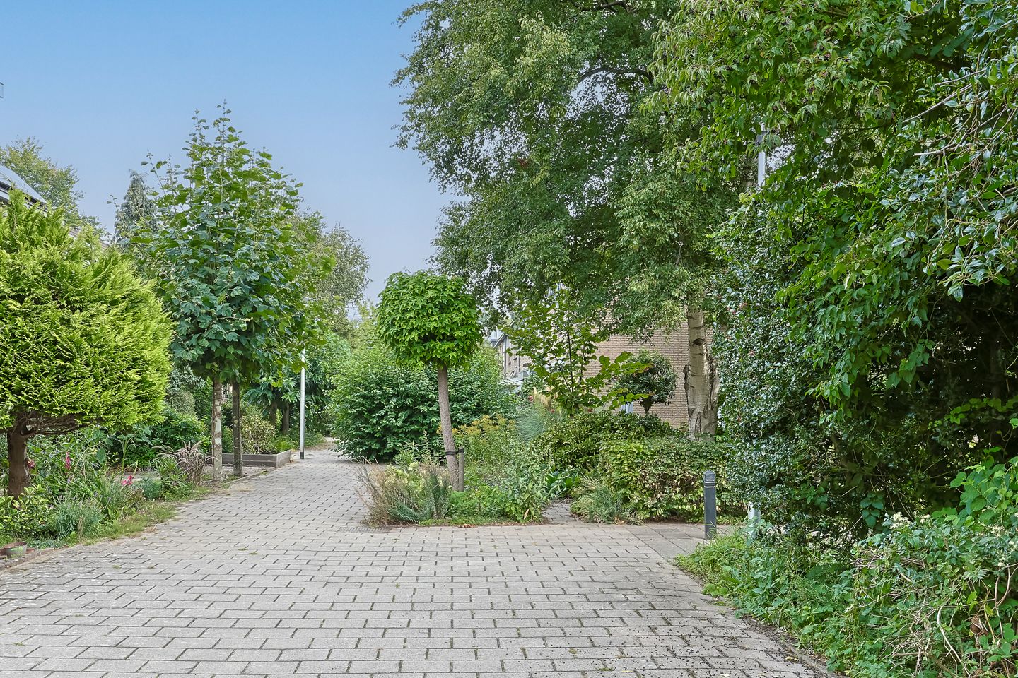 Foto 5 van Grevelingen 10