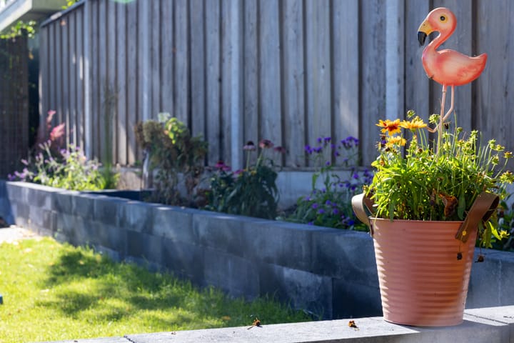 Foto 29 van Papenveld 5