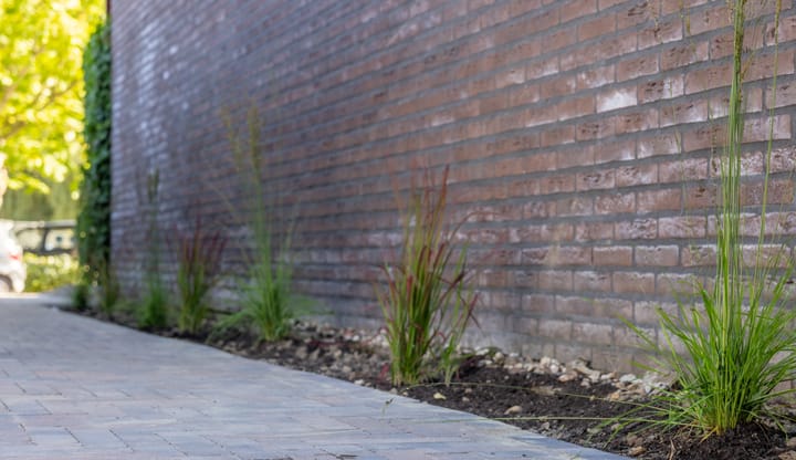 Foto 31 van Papenveld 5