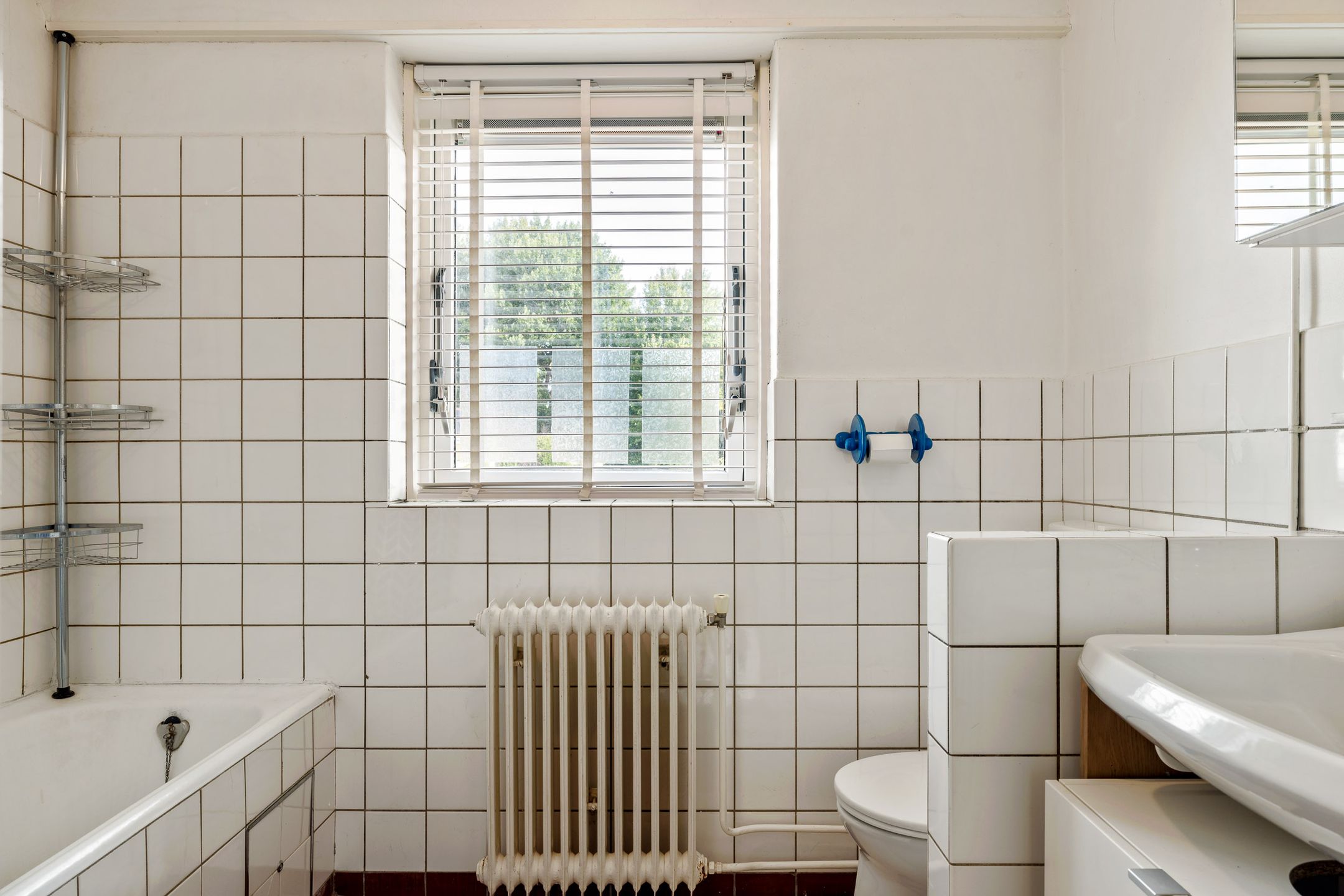 Foto 24 van Bouriciuslaan 15