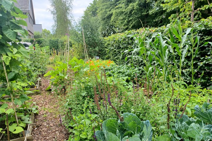 Foto 4 van Westervalge 1