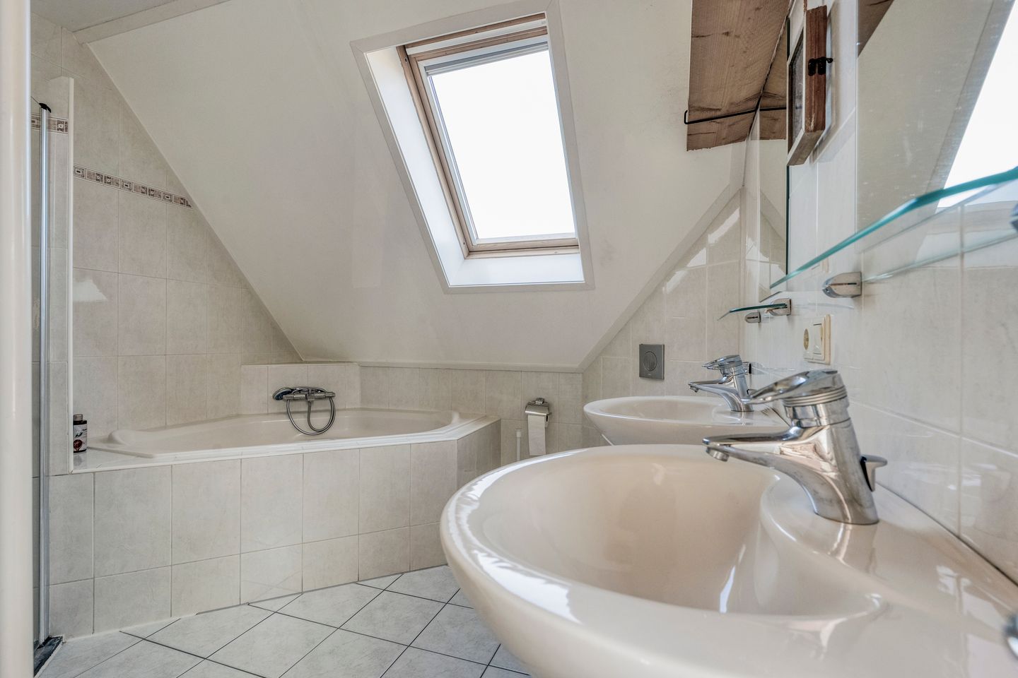 Foto 25 van Valeriaan 15