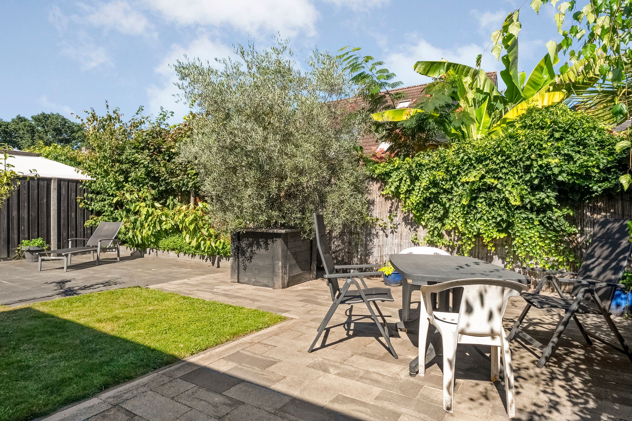 Foto 33 van Valeriaan 15