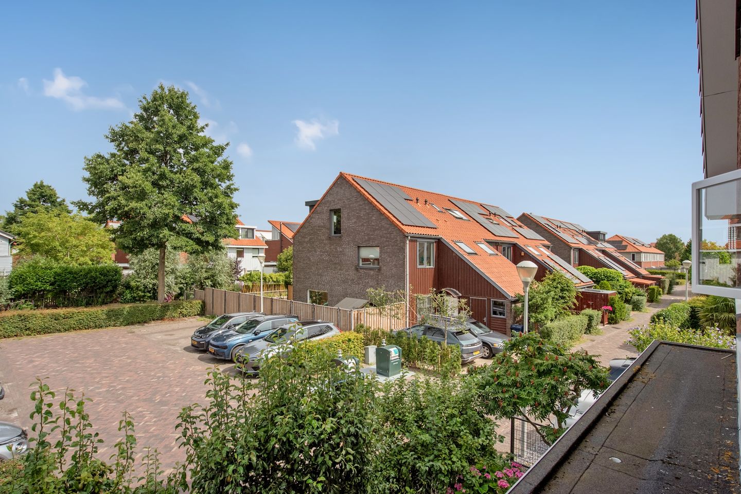 Foto 34 van Watermunt 22