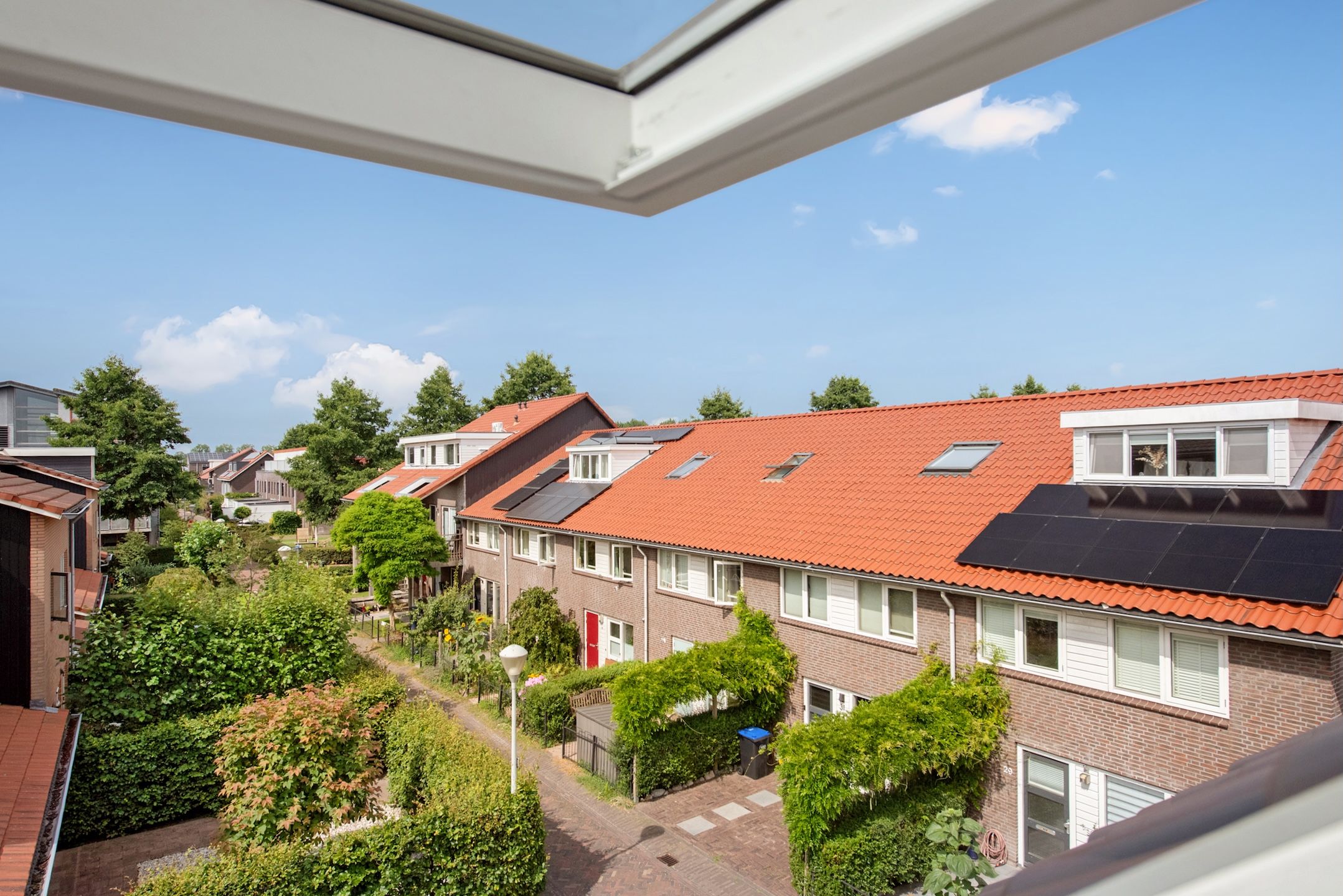 Foto 51 van Watermunt 22