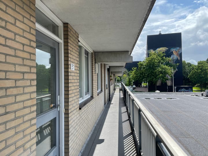 Foto 19 van Ouvertureweg 37