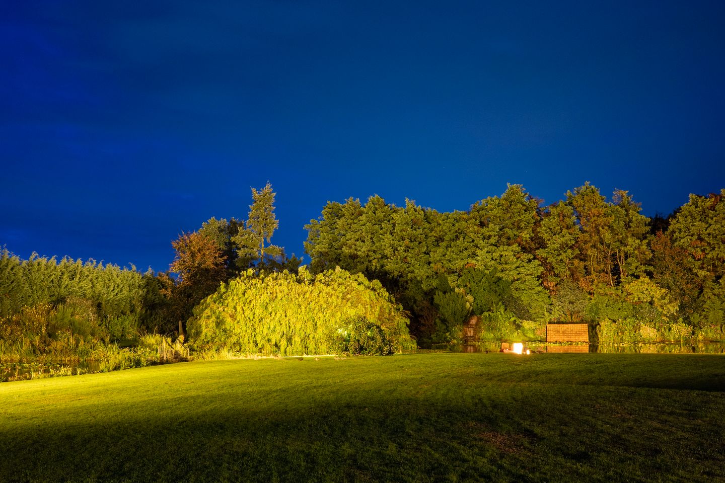 Photo 5 of Koekamperweg 16