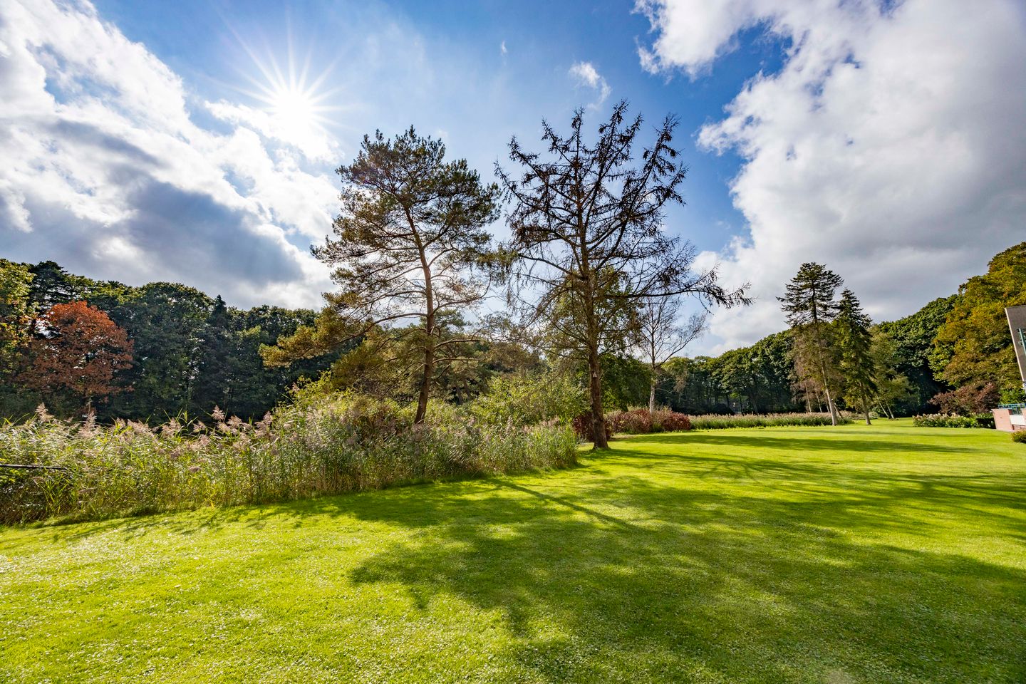Foto 4 van Molenwijkseweg 74