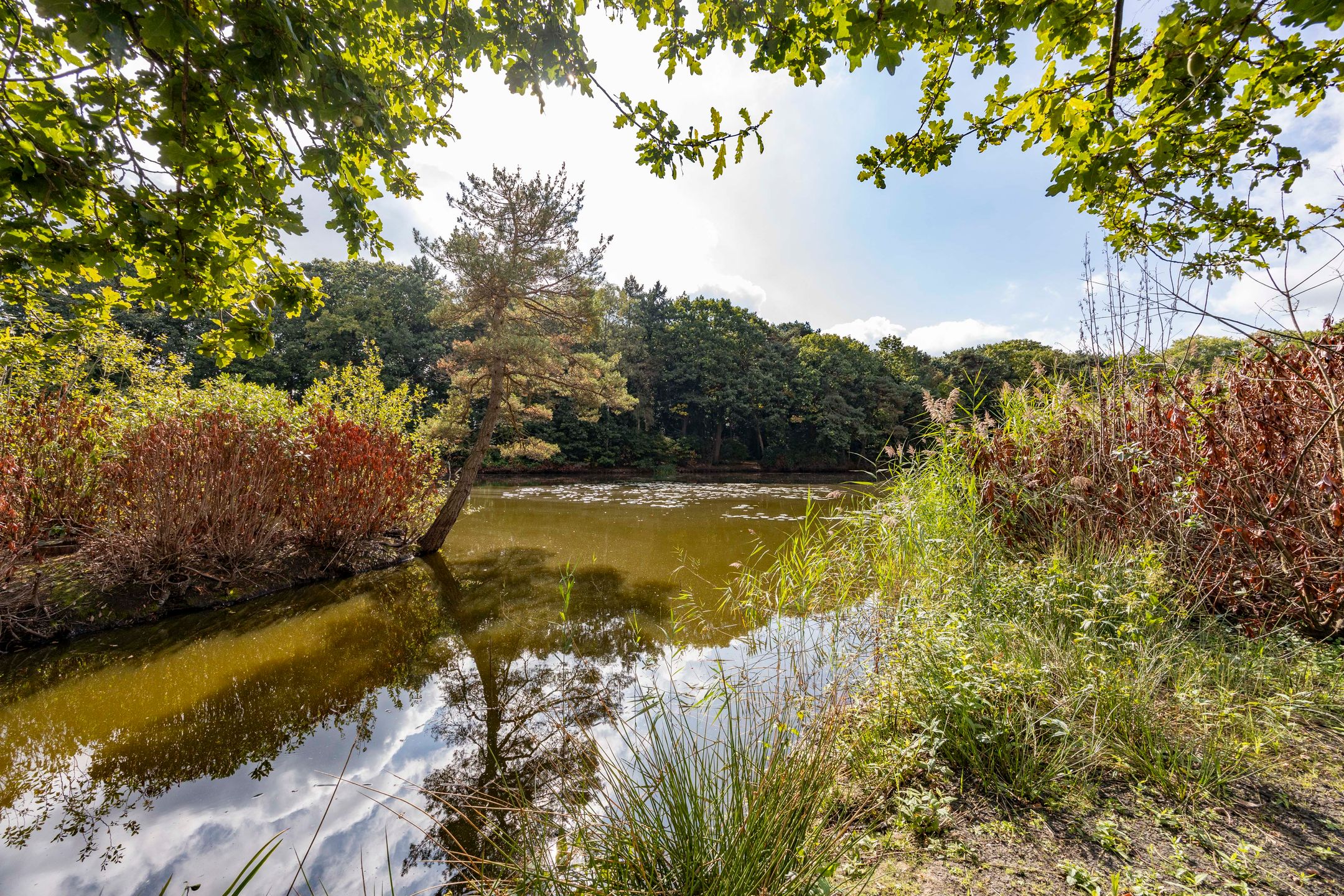 Foto 30 van Molenwijkseweg 74