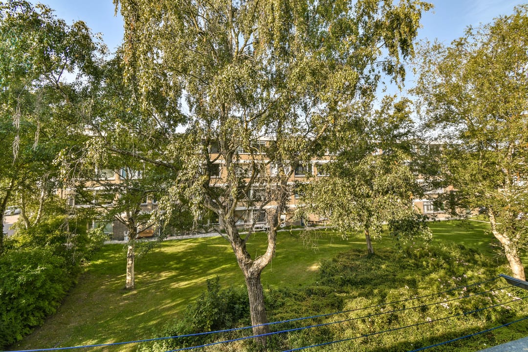 Foto 17 van Ruysdaelhof 38