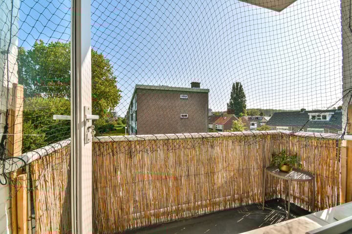 Foto 24 van Ruysdaelhof 38