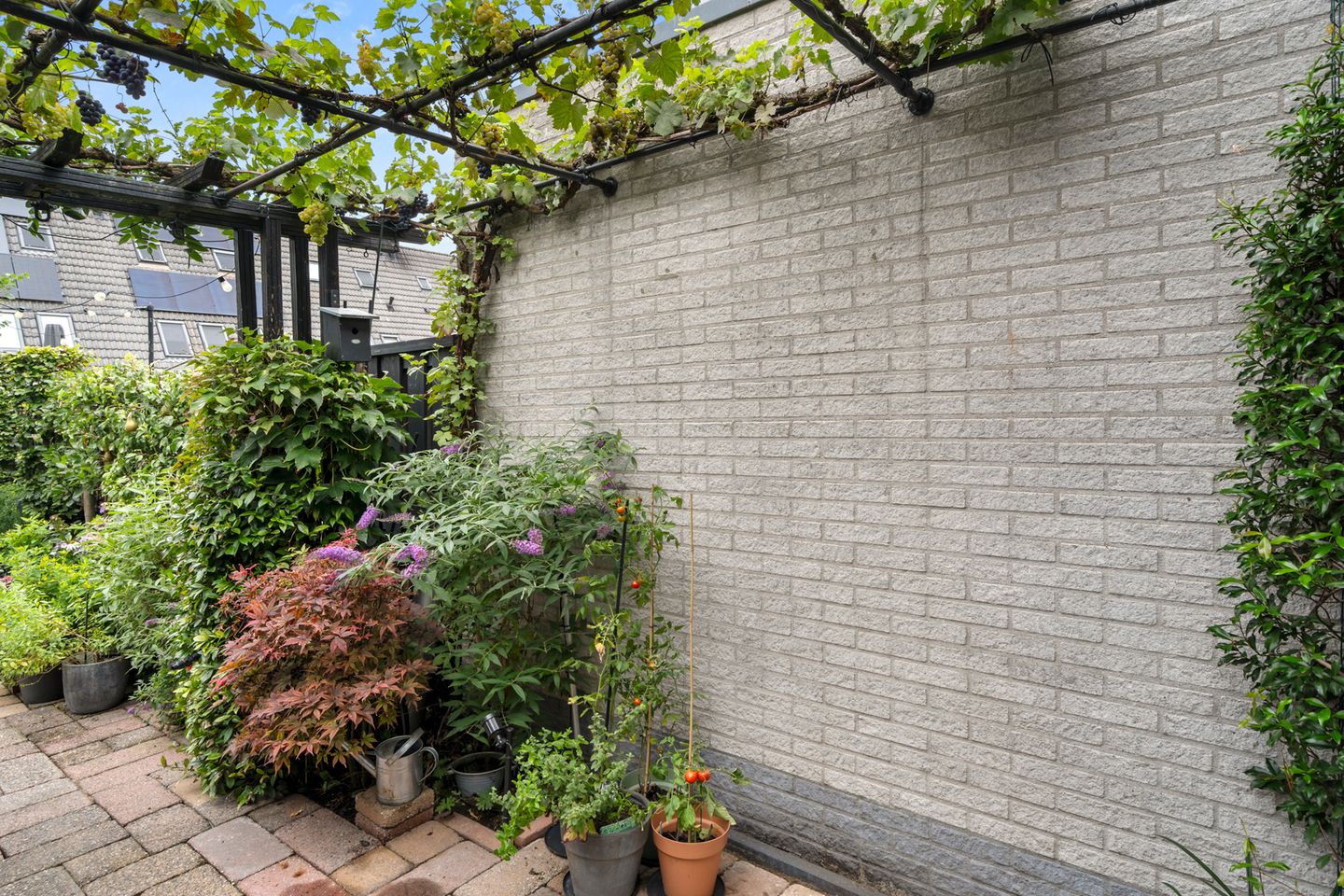 Photo 40 of Brederodelaan 66