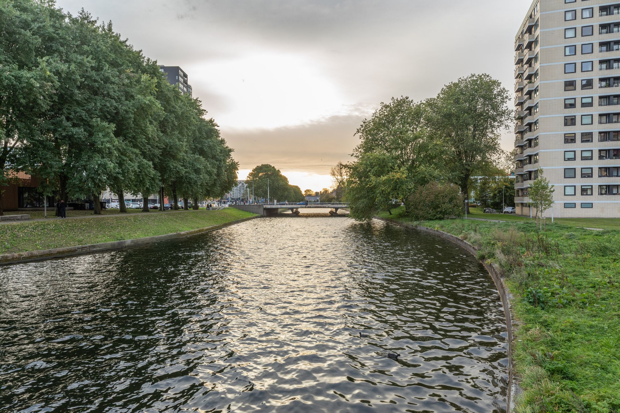 Foto 39 van Ruimzicht 219