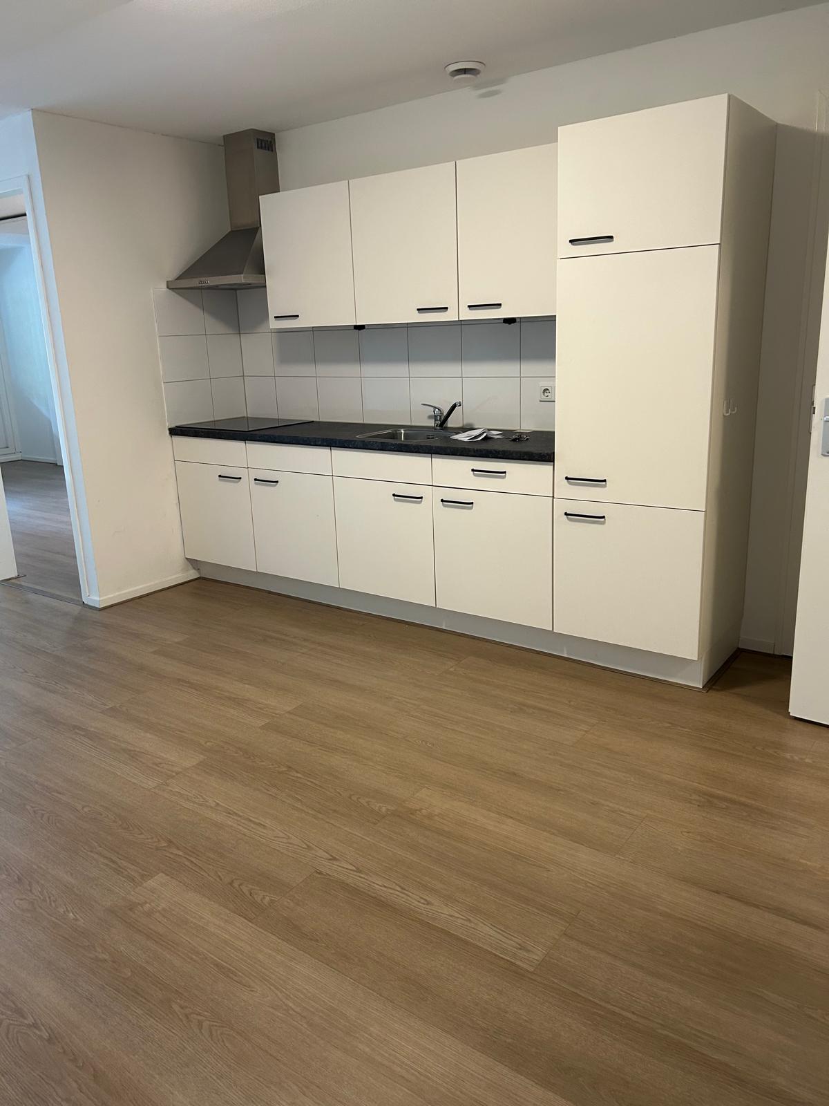 Foto 3 van Wilhelminastraat 49-T