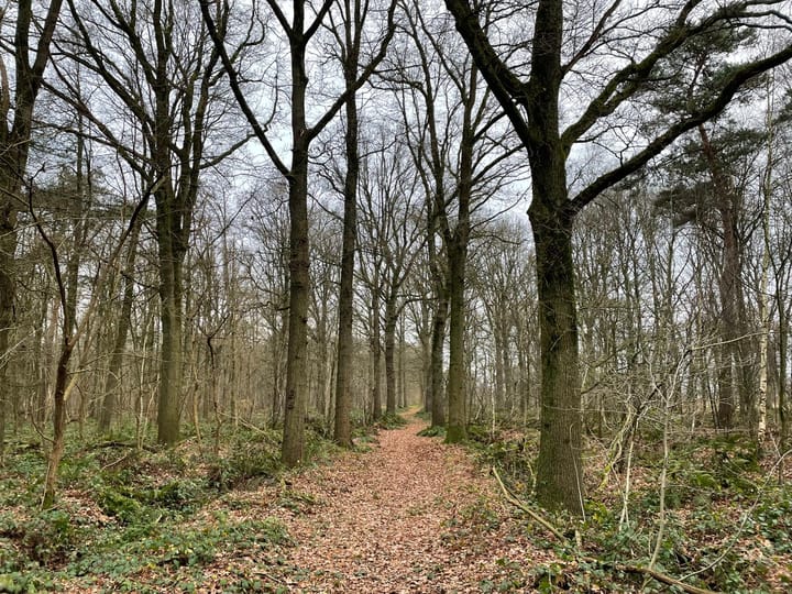 Photo 5 of Gebleektendijk