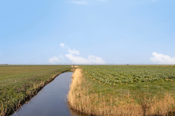 Foto 25 van Zuideruitweg 68-43