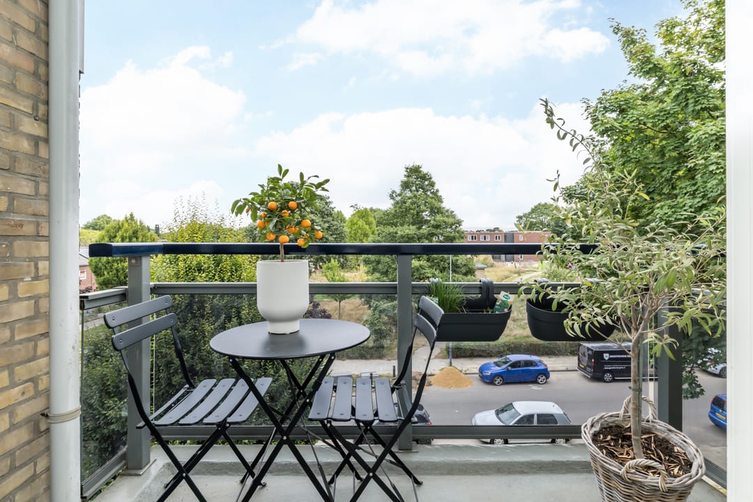 Photo 13 of Vrangendael 60-II