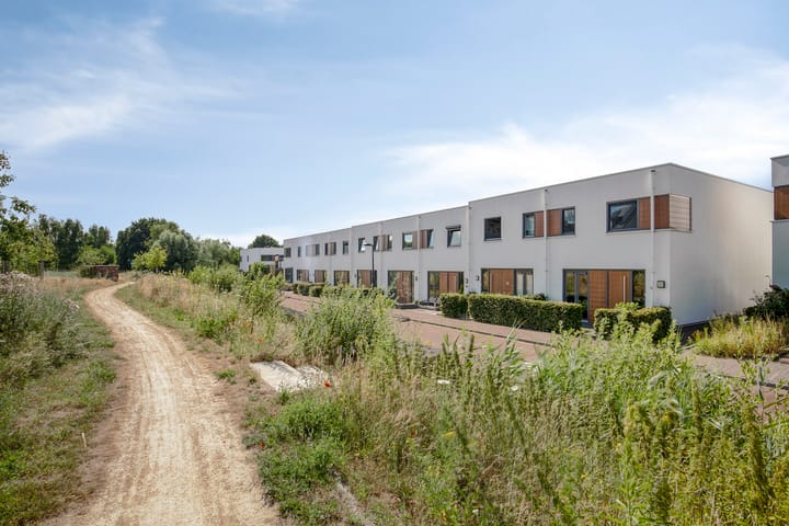 Foto 2 van Oeverzwaluw 14