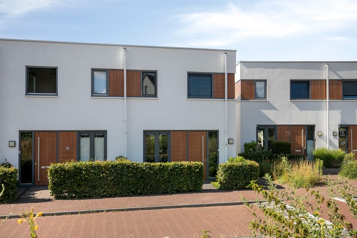 Foto 45 van Oeverzwaluw 14