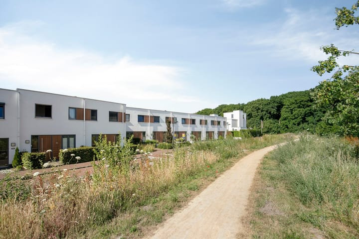 Foto 44 van Oeverzwaluw 14