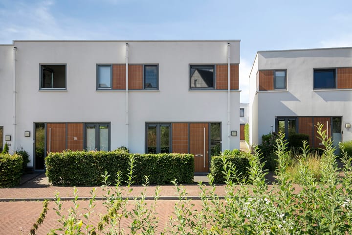 Foto 42 van Oeverzwaluw 14