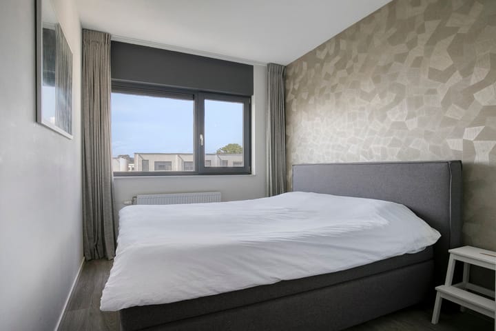 Foto 18 van Oeverzwaluw 14