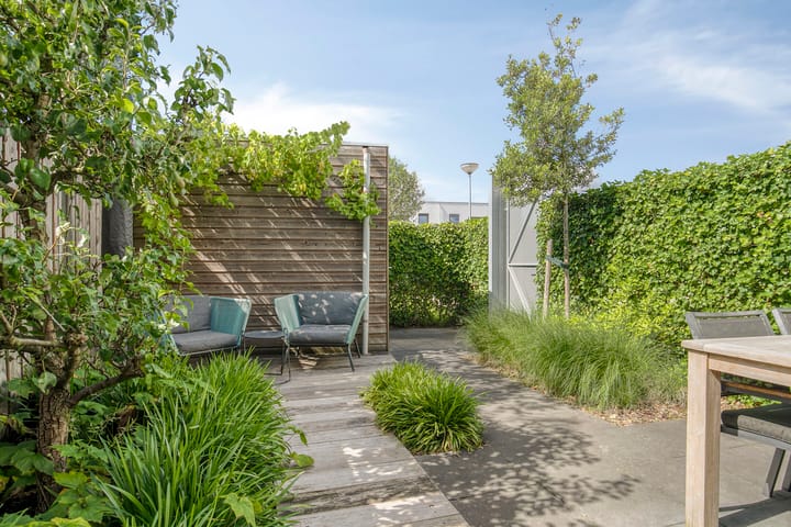 Foto 30 van Oeverzwaluw 14