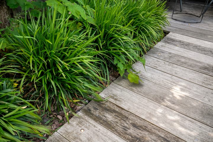 Foto 32 van Oeverzwaluw 14