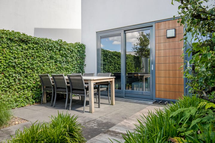 Foto 35 van Oeverzwaluw 14