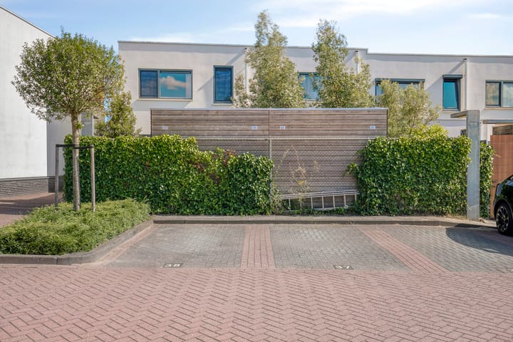 Foto 37 van Oeverzwaluw 14