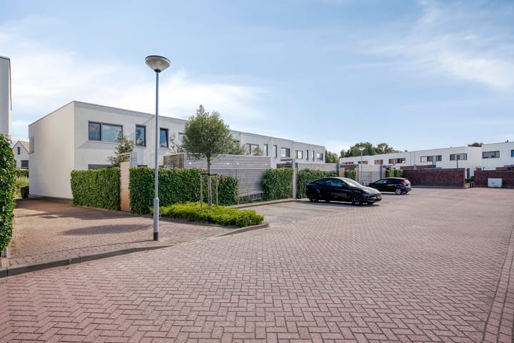 Foto 38 van Oeverzwaluw 14