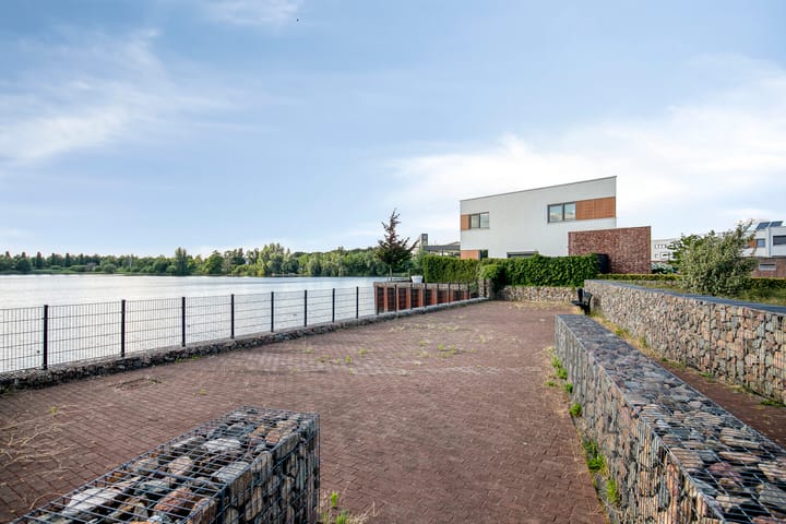 Foto 39 van Oeverzwaluw 14