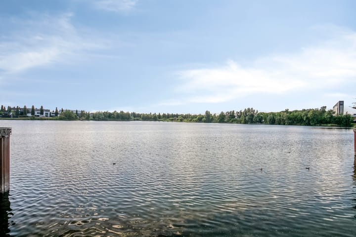 Foto 40 van Oeverzwaluw 14