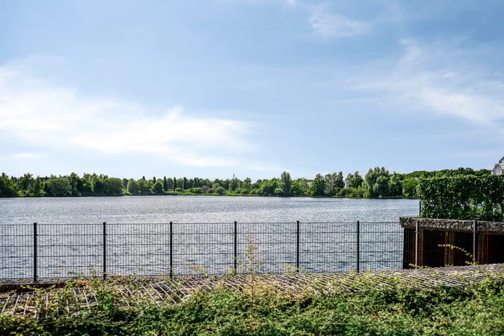 Foto 41 van Oeverzwaluw 14