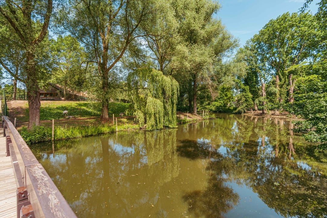 Foto 62 van Keverberg 41