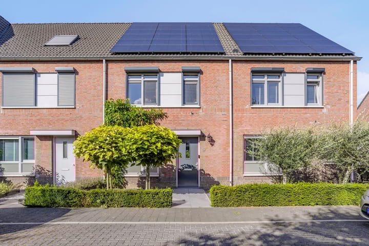 Foto 1 van Steenuil 33