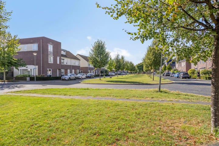 Foto 26 van Steenuil 33