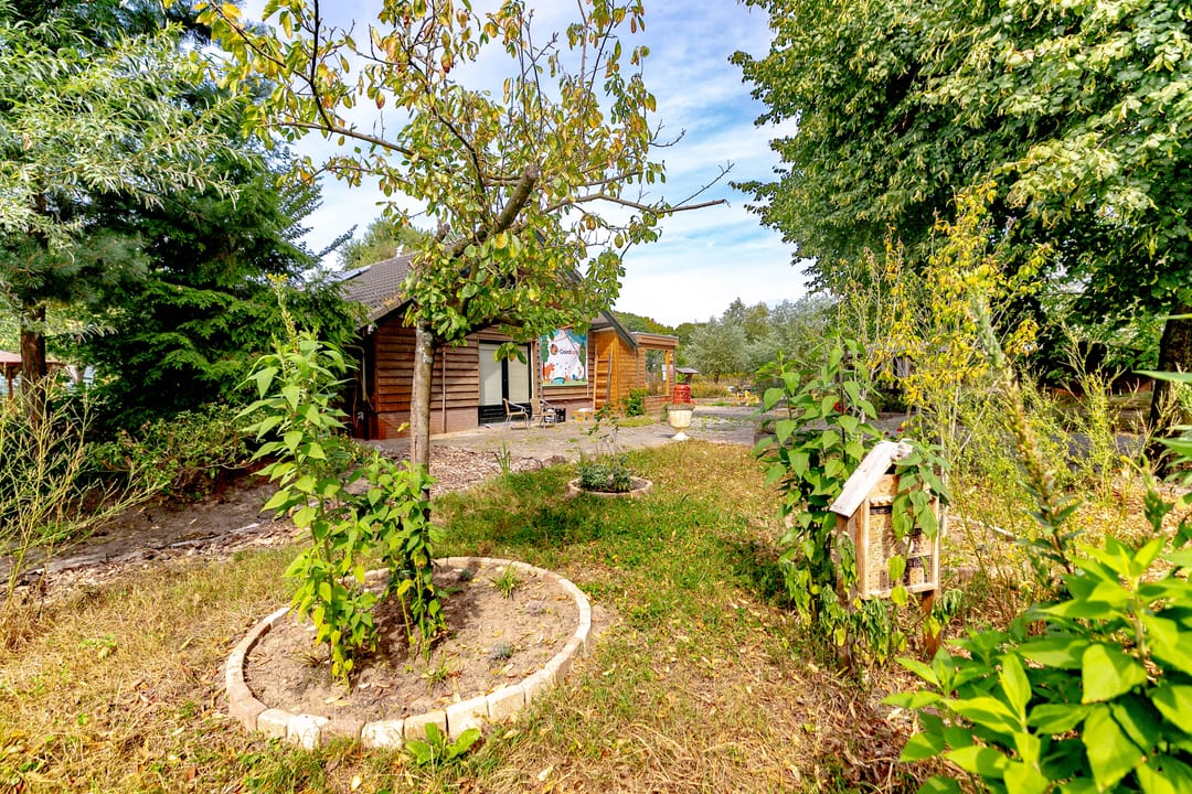 Foto 23 van Kruiskampsingel 363