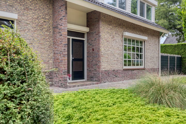 Foto 8 van Burgemeester van Lyndenpark 3