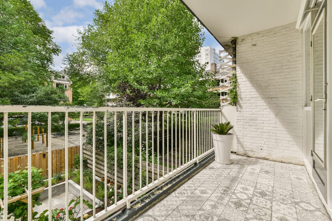 Foto 11 van Koxhorn 11-1