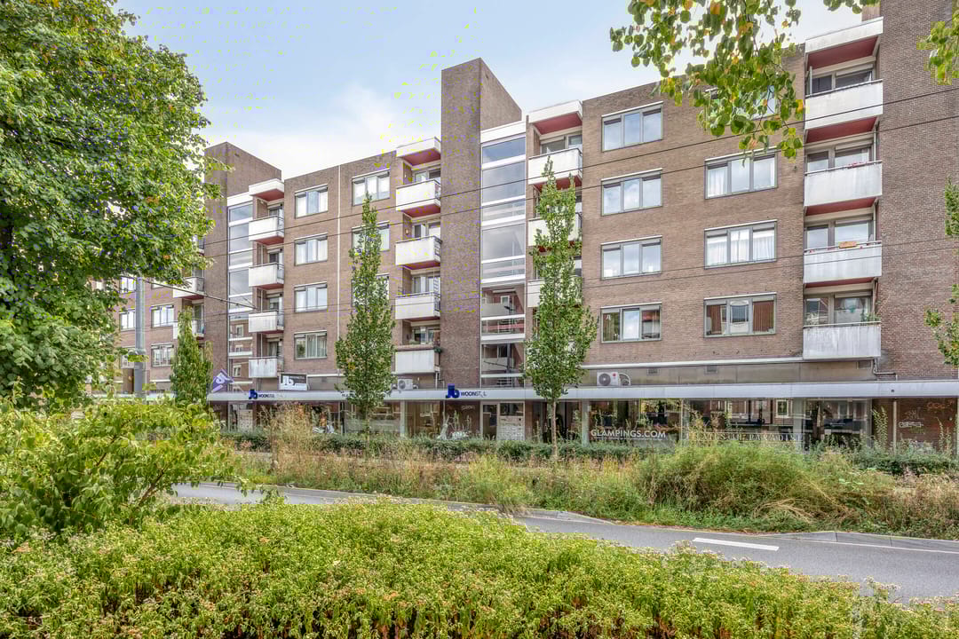 Foto 1 van Ir J.P. van Muijlwijkstraat 204